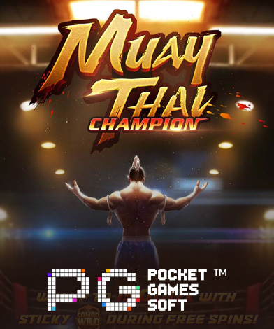 Muay Thai Champion