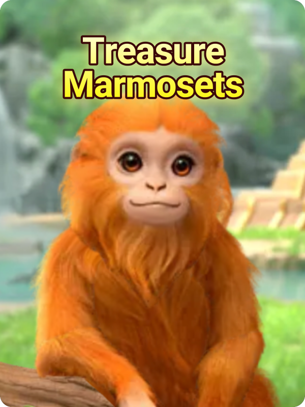 Treasure Marmosets